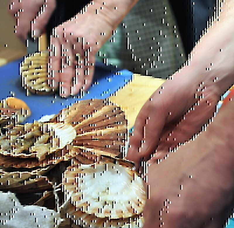 Cooking Scallops